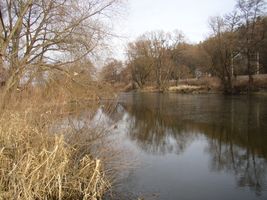 Berounka 2-Dobřichovická tůň 17.2.2004 (2).jpg